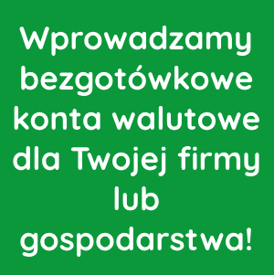 Wprowadzamy bezgotówkowe konta walutowe!