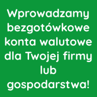 Wprowadzamy bezgotówkowe konta walutowe!