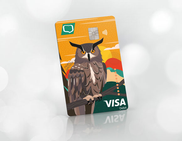 Baner Visa Classic